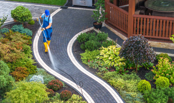 Best Pressure Washing Patio  in Wren, AR